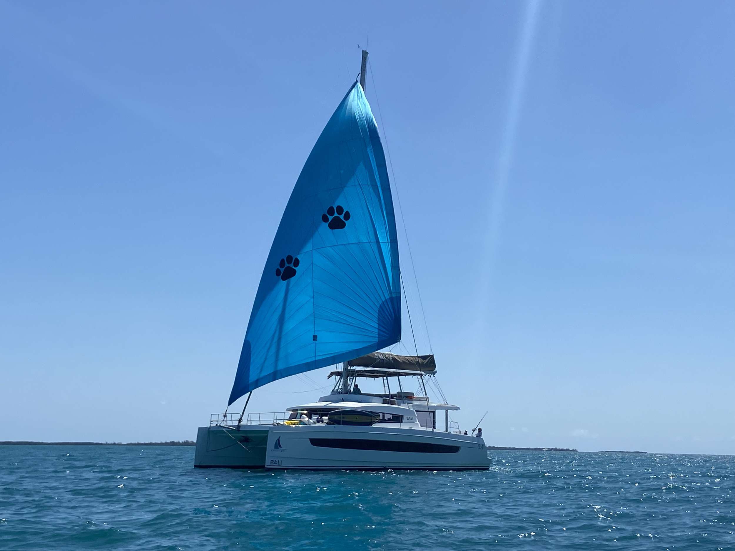 Nauti Dogs 5.4 charter yacht